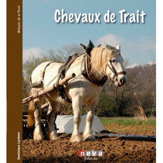 CHEVAUX DE TRAIT